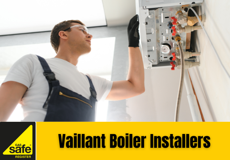 Vaillant boiler installers Paddock Wood